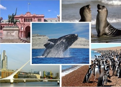 Buenos Aires + Puerto Madryn 6 Days 5 Nights